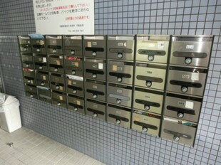 中電前駅 徒歩8分 6階の物件内観写真